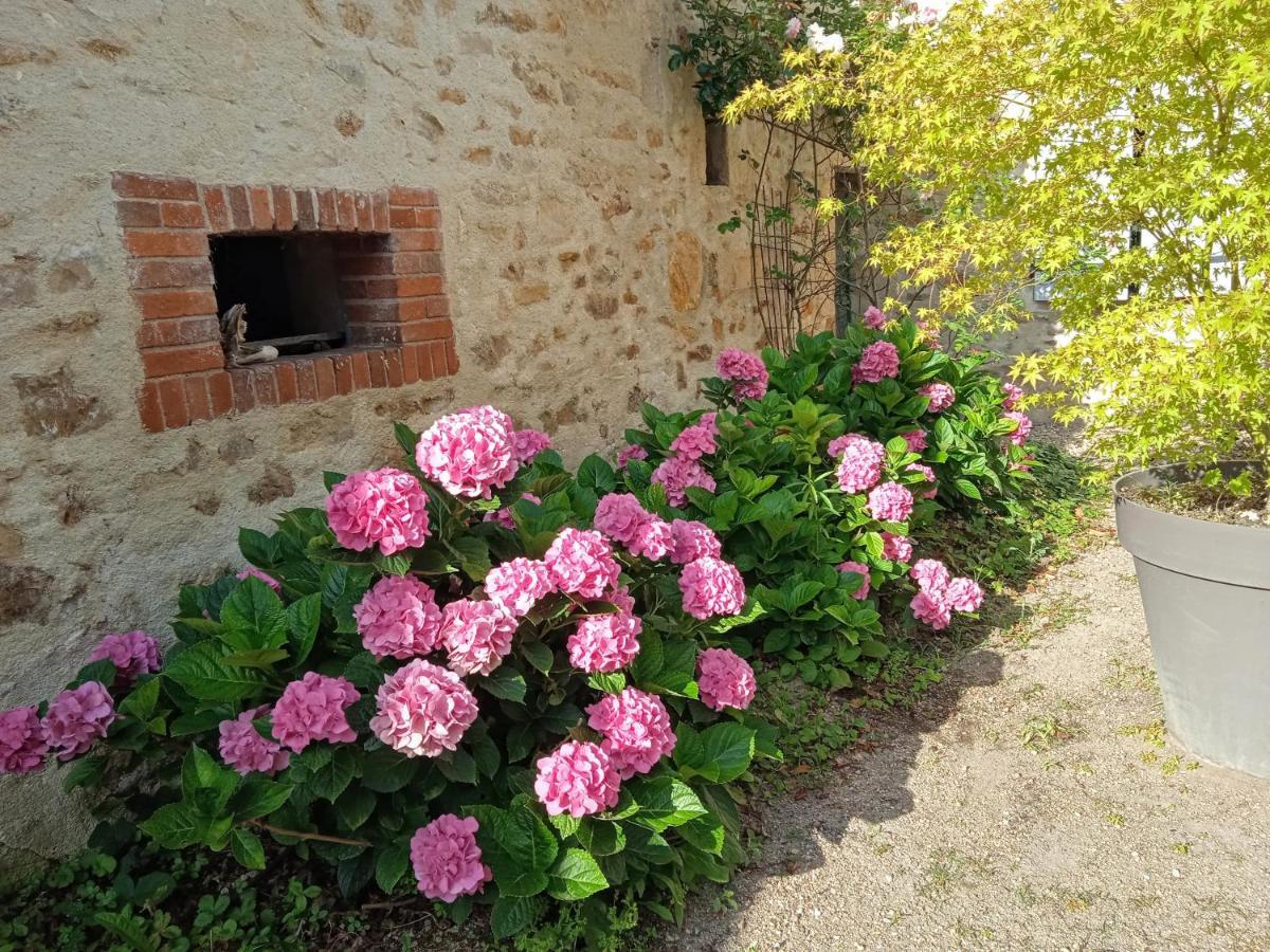L'Amalgam' Bed and Breakfast Ainay-le-Vieil Eksteriør billede